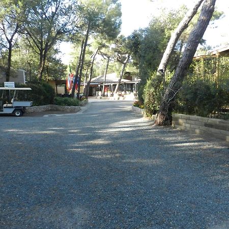 Camping Casa Di Caccia Marina Di Bibbona Esterno foto