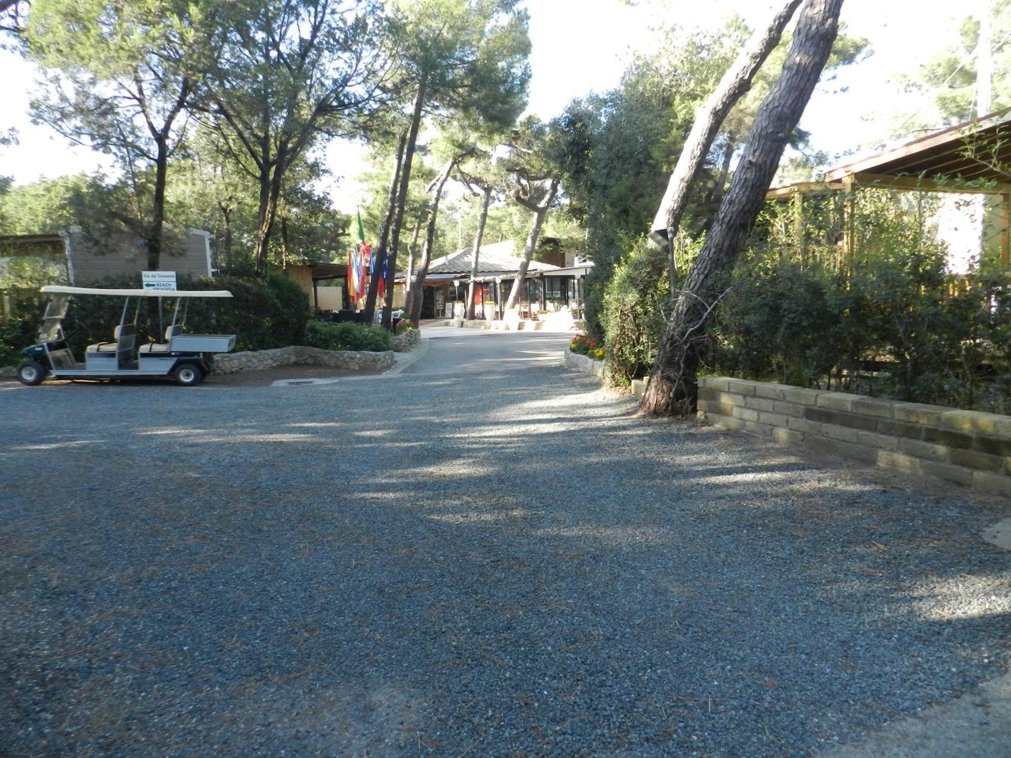 Camping Casa Di Caccia Marina Di Bibbona Esterno foto