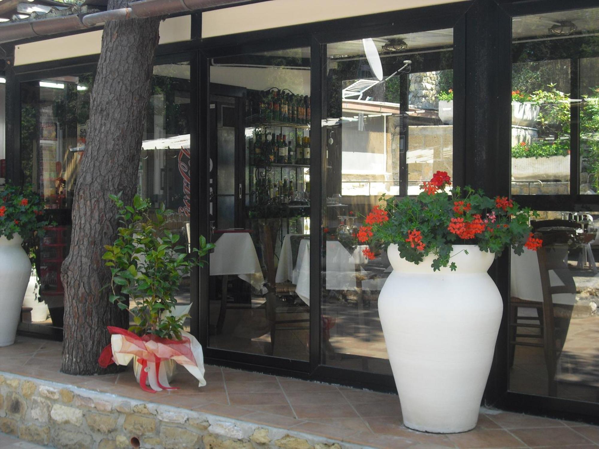 Camping Casa Di Caccia Marina Di Bibbona Esterno foto