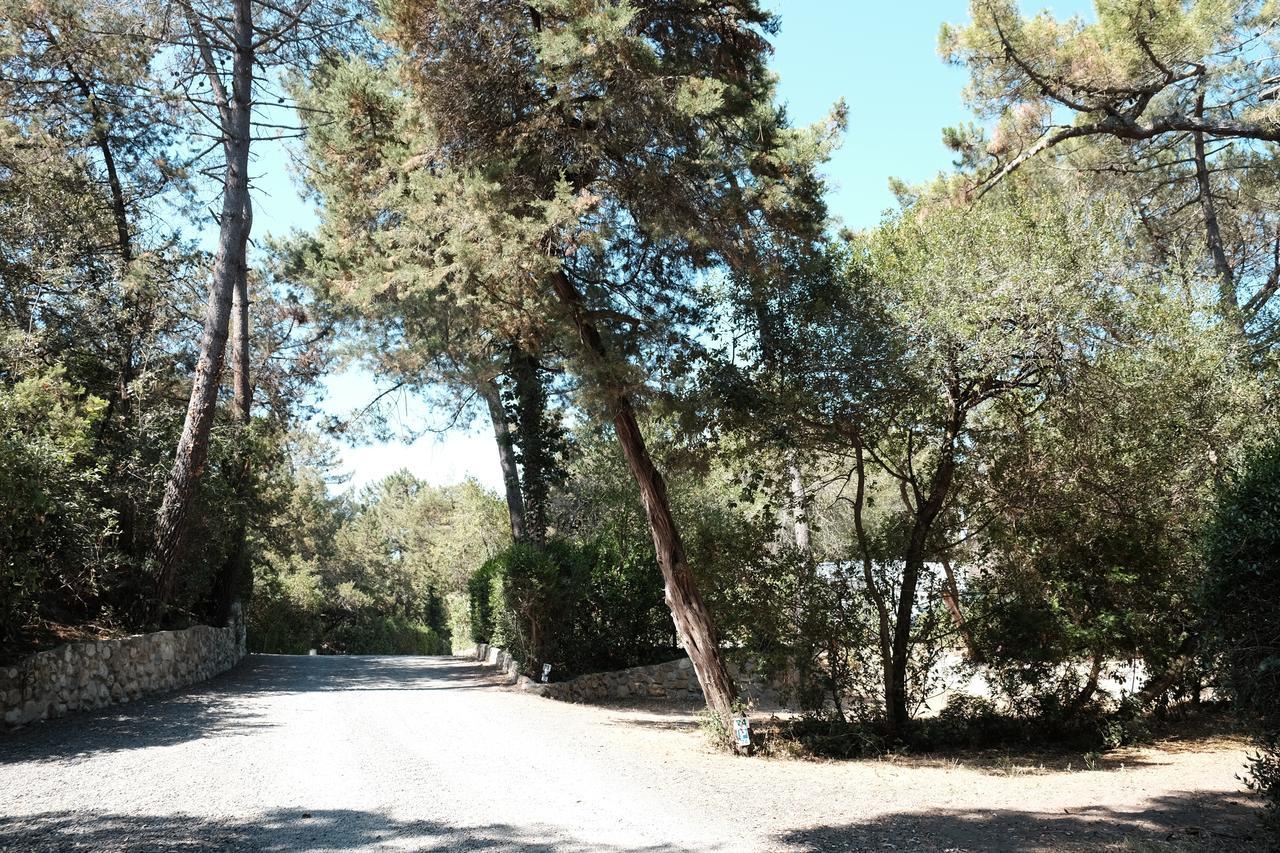 Camping Casa Di Caccia Marina Di Bibbona Esterno foto