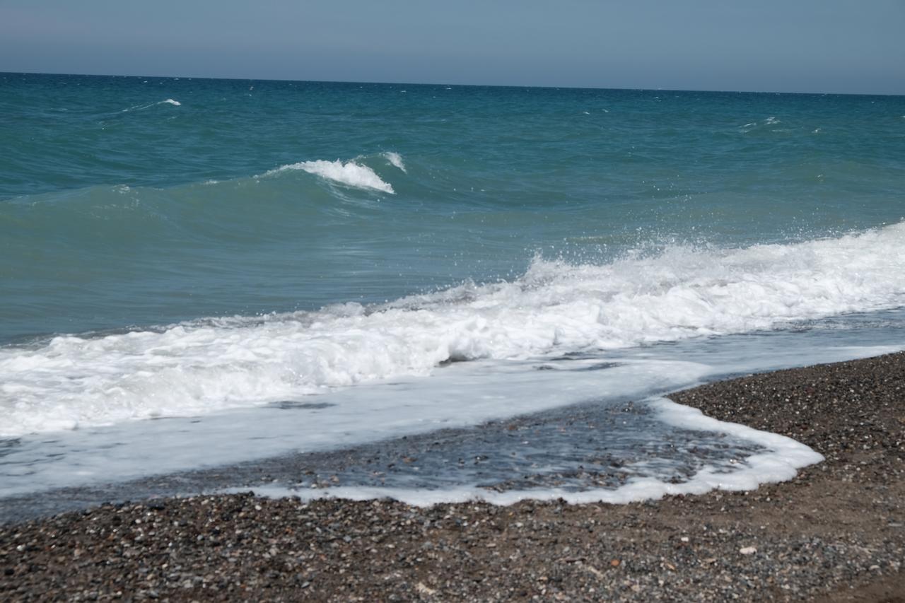 Camping Casa Di Caccia Marina Di Bibbona Esterno foto