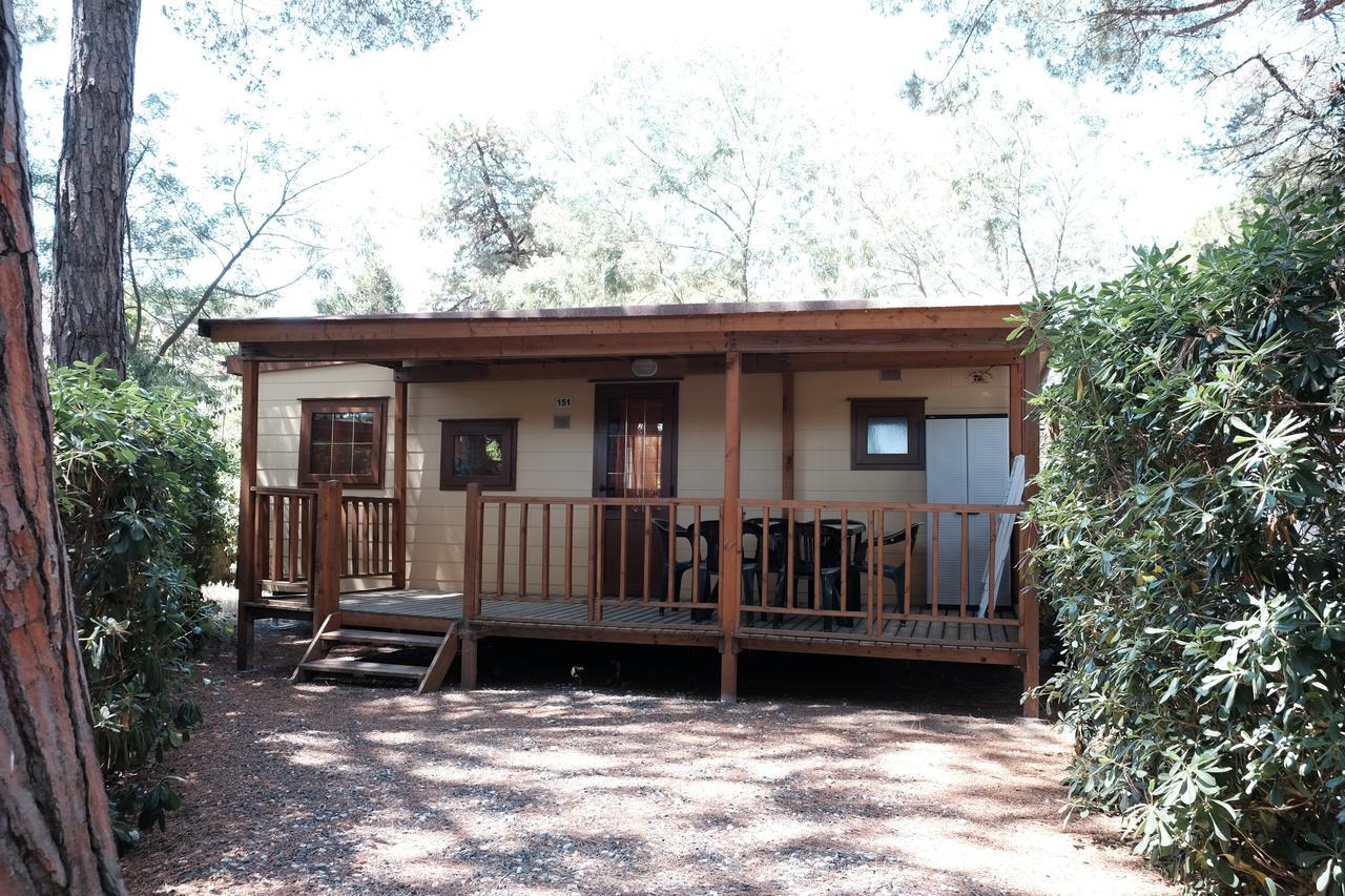 Camping Casa Di Caccia Marina Di Bibbona Esterno foto