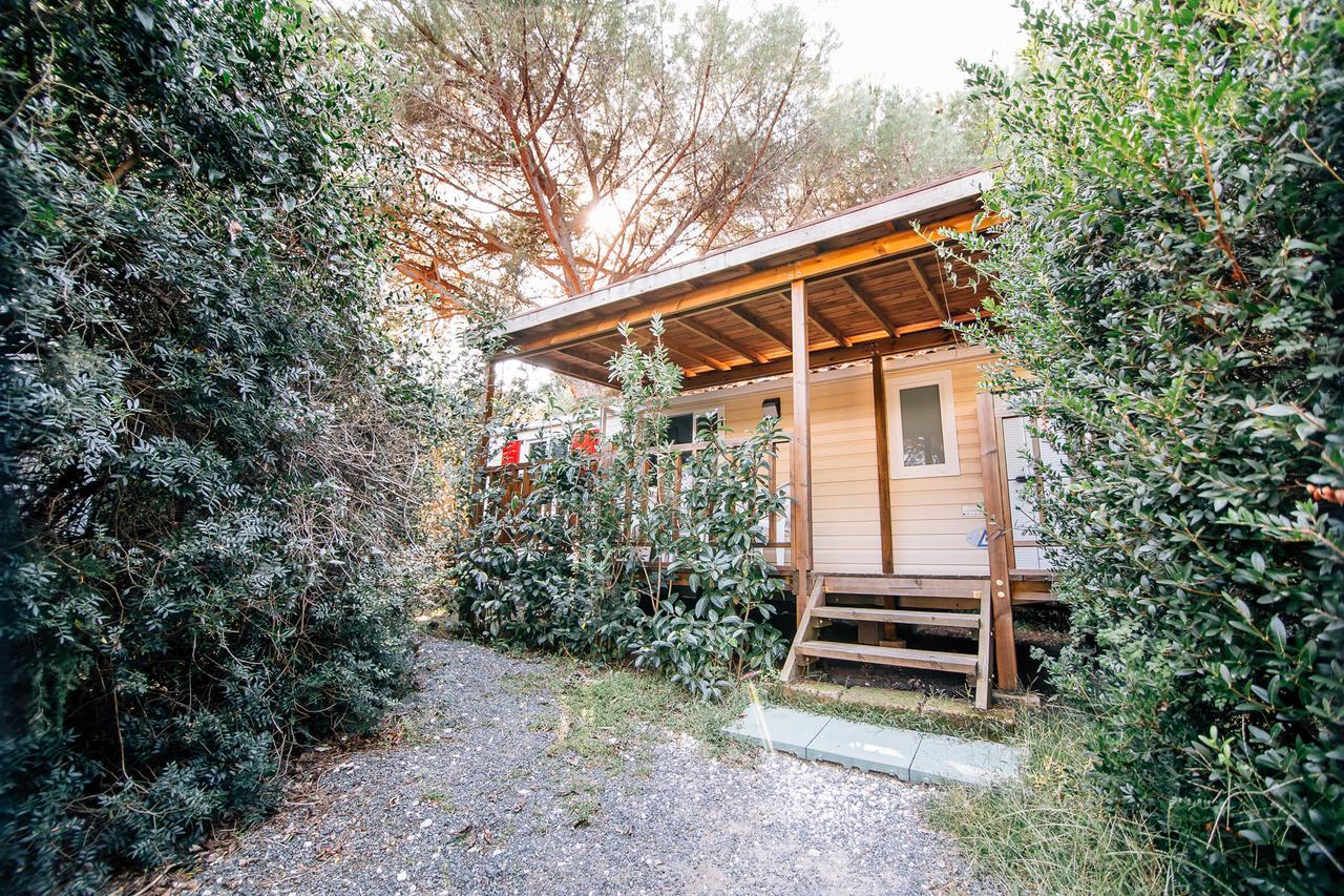 Camping Casa Di Caccia Marina Di Bibbona Esterno foto
